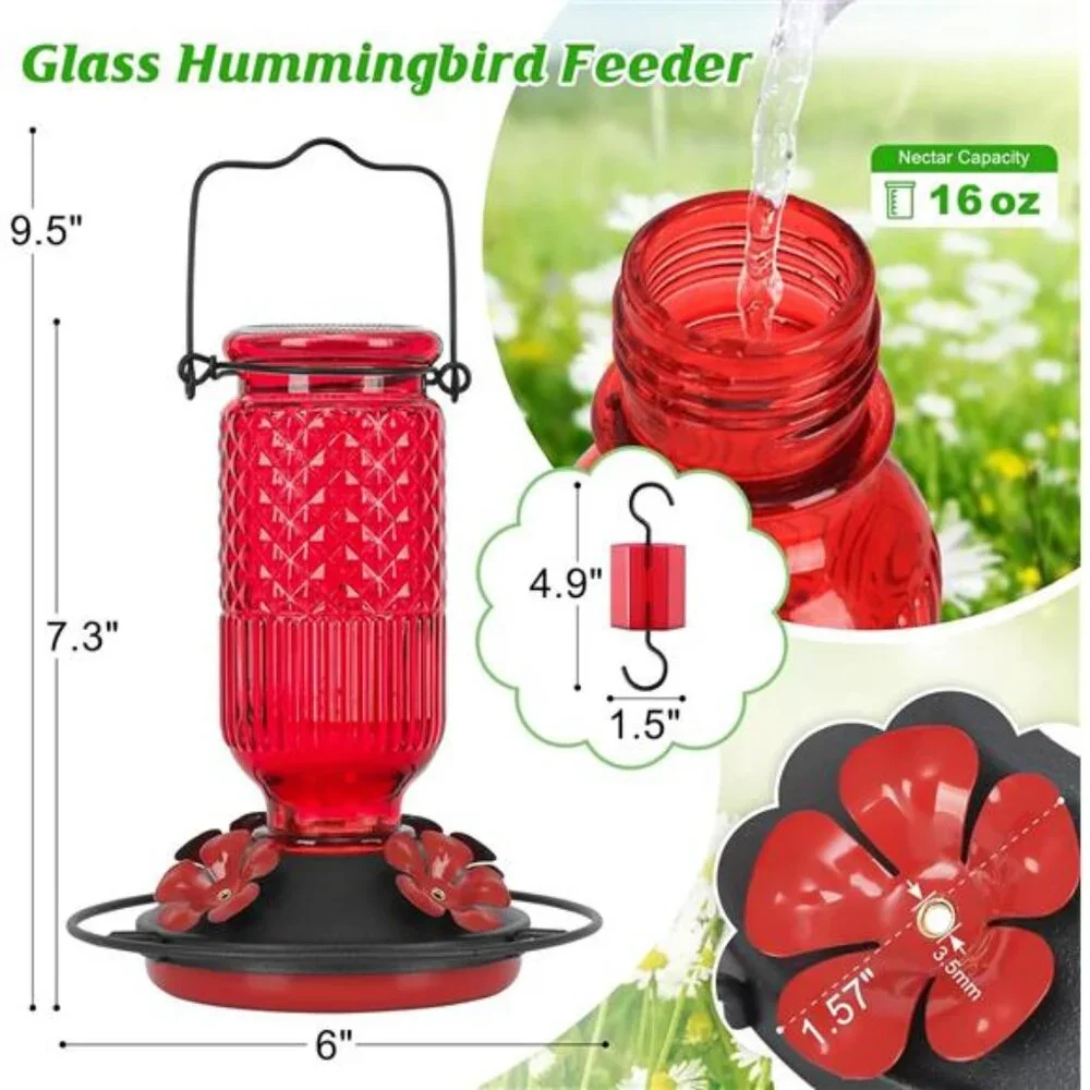 Glass Hummingbird Feeder for Outdoors Hanging, 16 OZ Humming Birds Feeders